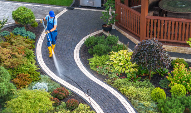 Best Power Washing Near Me  in Robins Af, GA